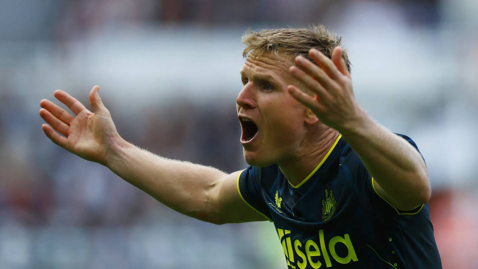 Bolton Wanderers should hijack Reading FC move for £15k-a-week ace Matt ...