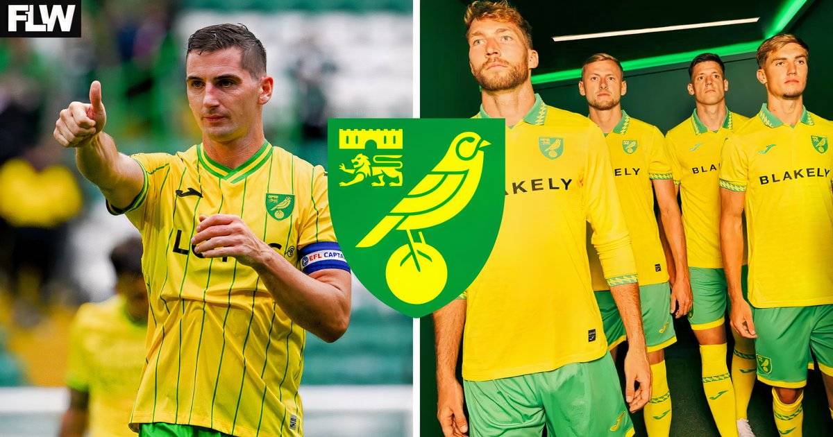 Siapa yang Disalahkan Kenny McLean atas Situasi Norwich City
