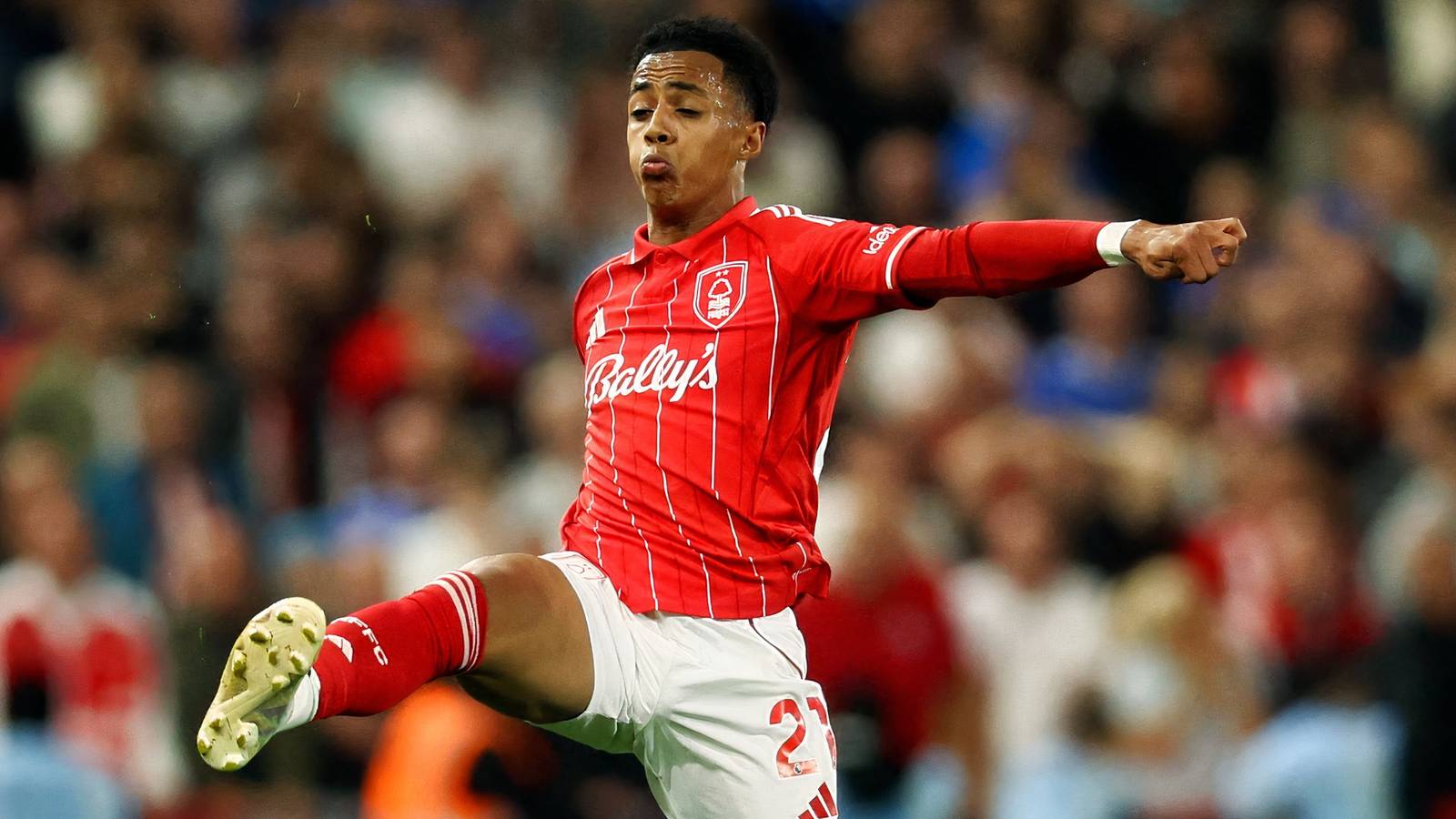 Pandangan Ipswich Town tentang situasi ‘aneh’ Omari Hutchinson di Nottingham Forest Pandangan Ipswich Town tentang situasi ‘aneh’ Omari Hutchinson di Nottingham Forest