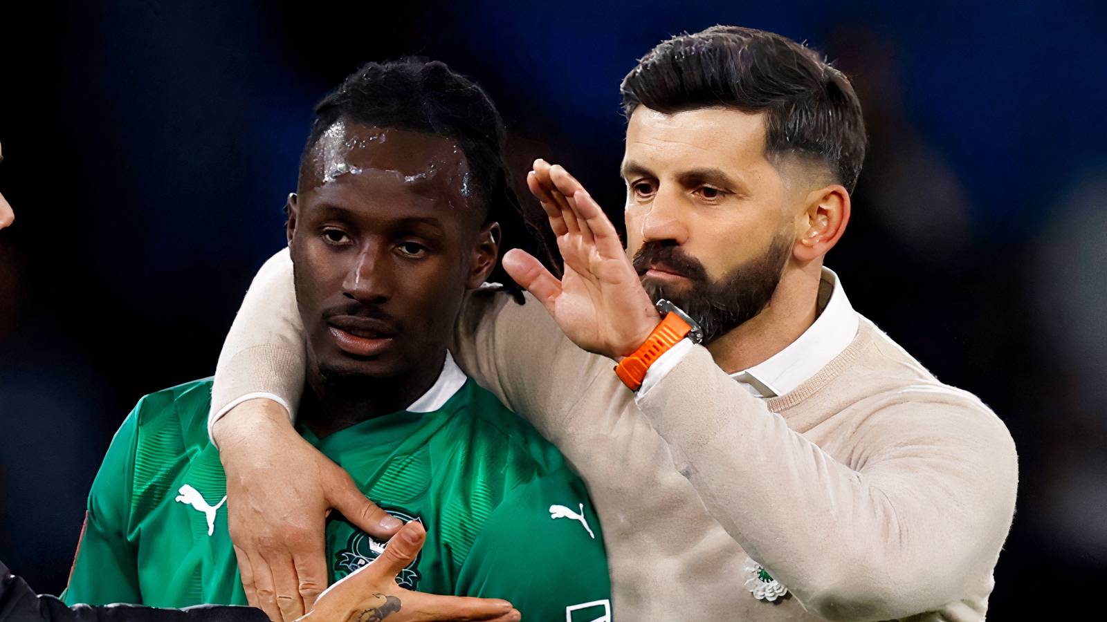 Plymouth Argyle Mungkin Mendapatkan Keberuntungan Transfer di Home Park