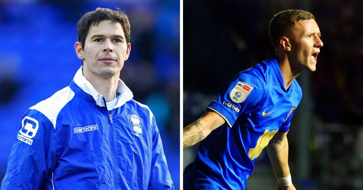 Berapa Gaji Nikola Zigic Saat Bermain di Birmingham City?