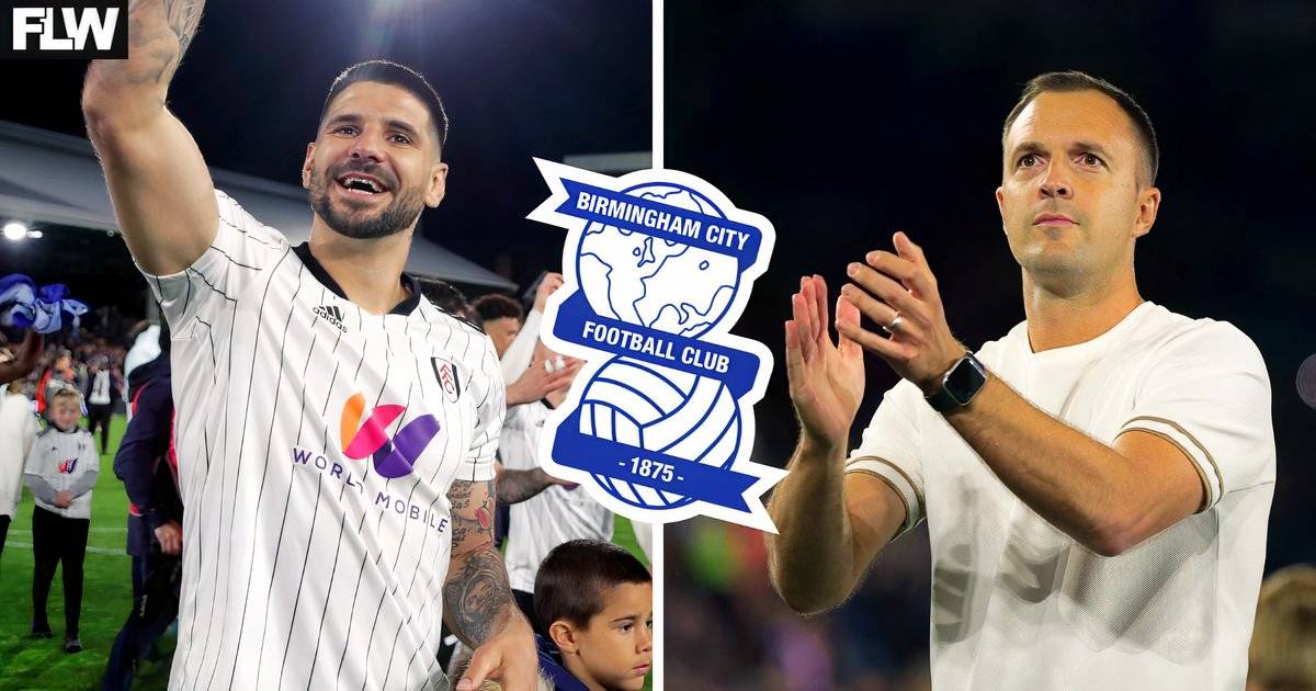 Birmingham City urged to pursue ambitious Aleksandar Mitrovic transfer