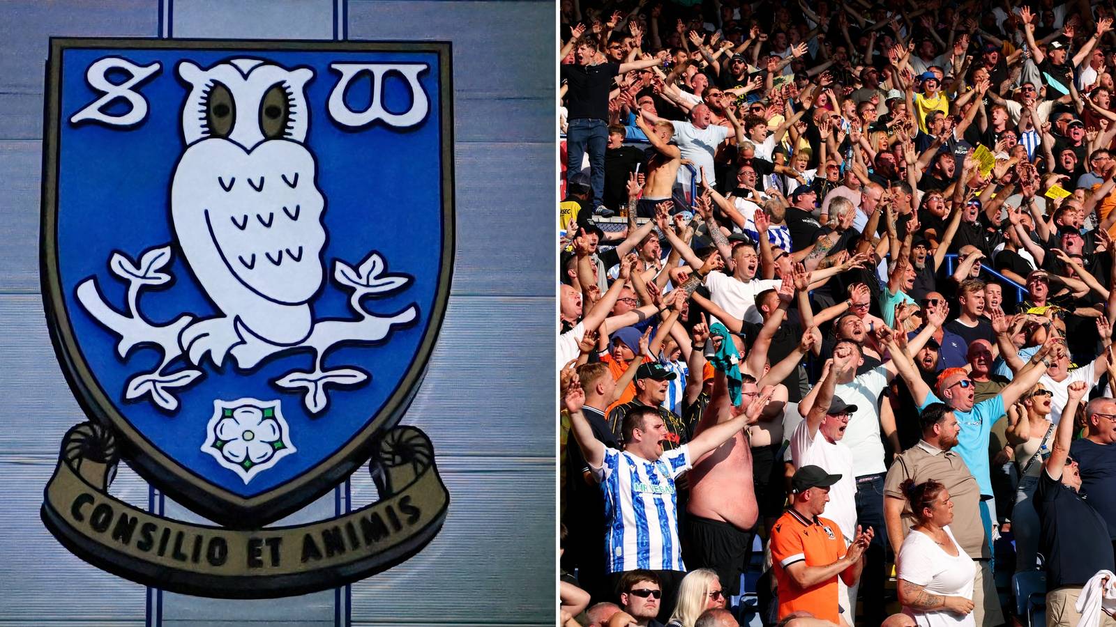 Sheffield Wednesday fans told to “protest