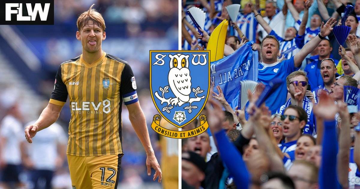 Sheffield Wednesday hit transfer gold with December deal for 30-year-old