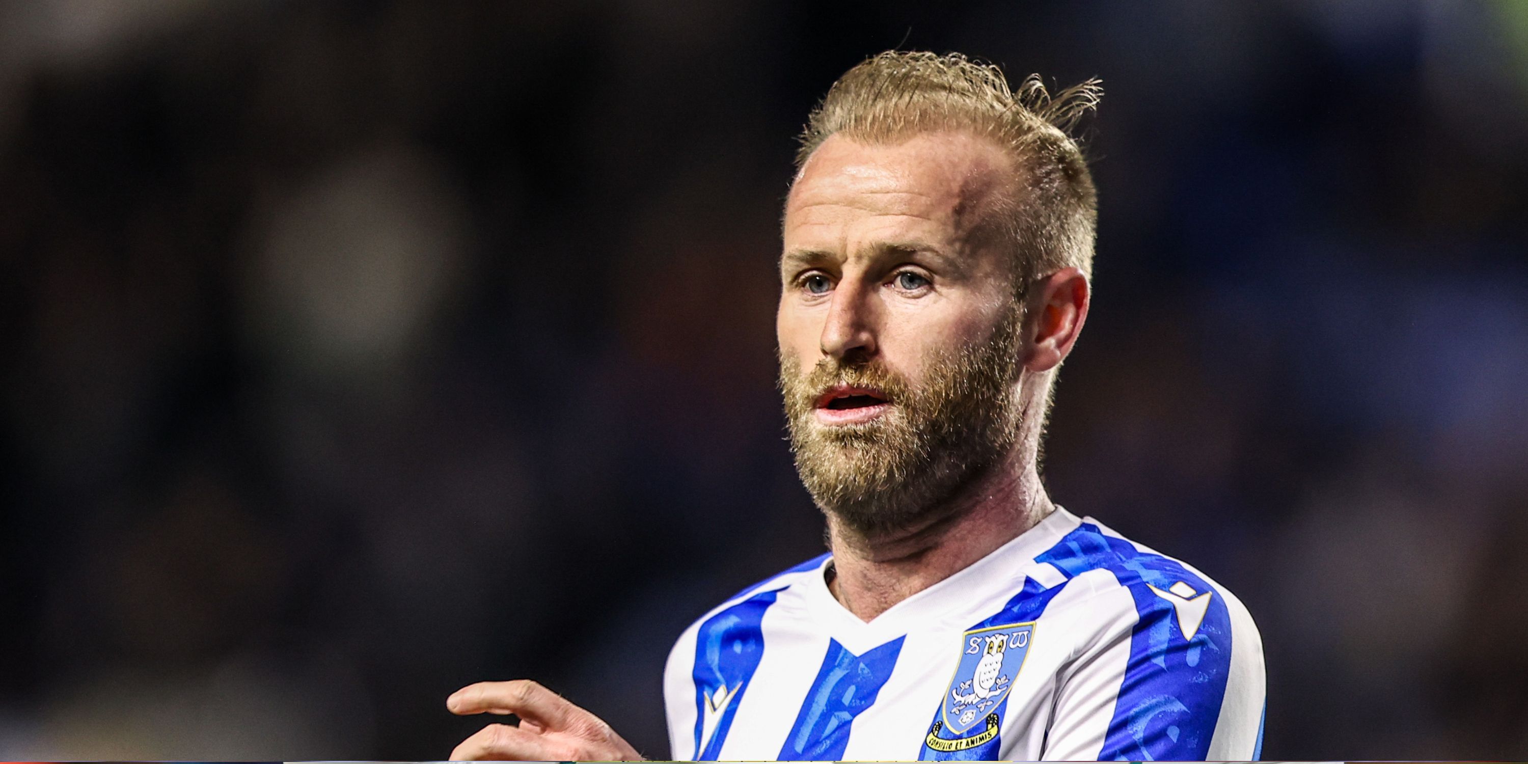 Millwall FC: Sheffield Wednesday, Barry Bannan transfer backed - he could 'be a missing piece in the puzzle'