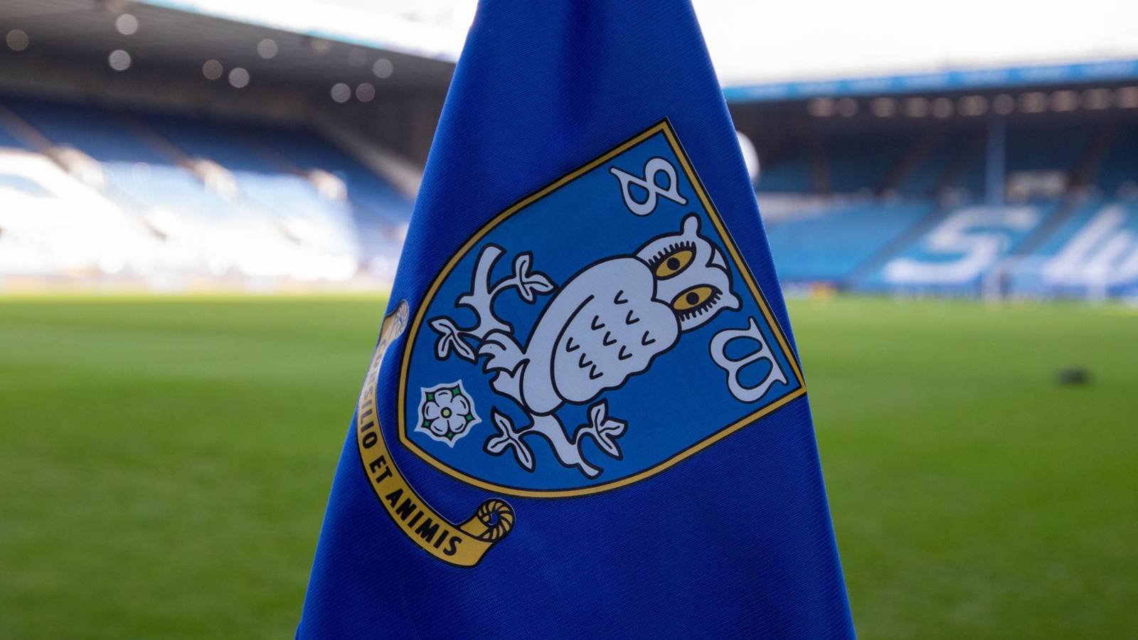Sheffield Wednesday Enters a New Era: Exciting Times Ahead!