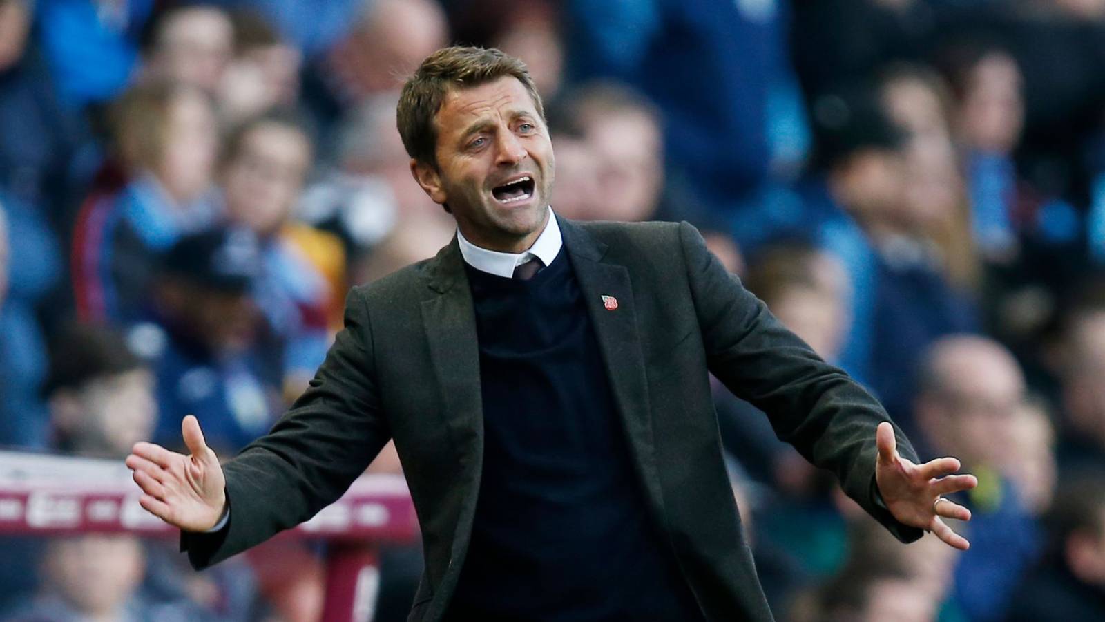 QPR must ignore Tim Sherwood pleas over manager role