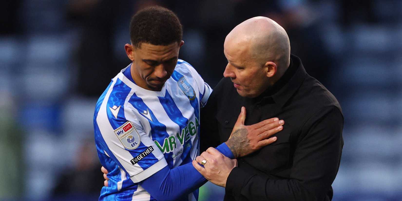 new-liam-palmer-twist-emerges-at-sheffield-wednesday