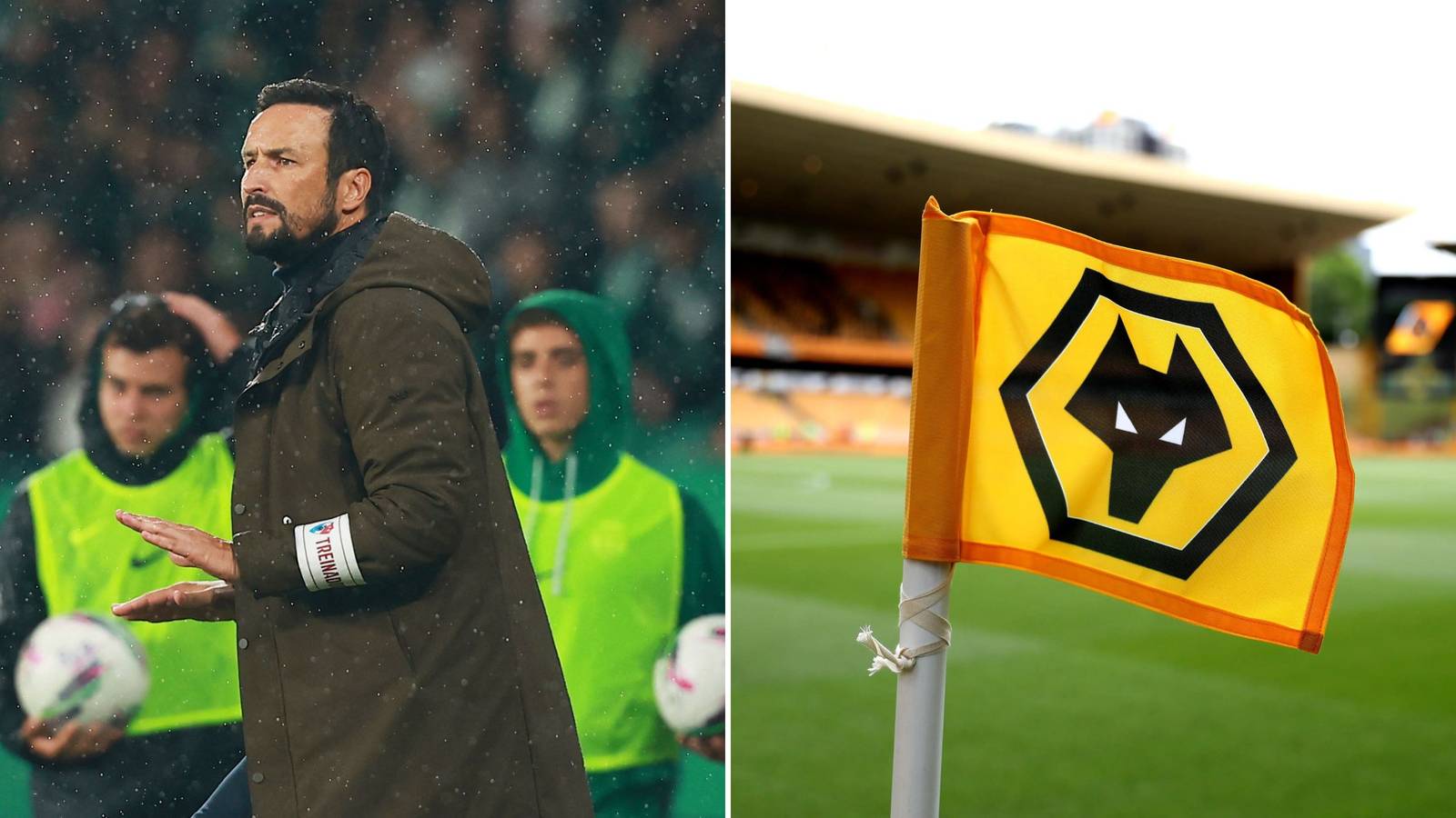 Two Wolves Words Cesar Peixoto drops fresh Wolves transfer update