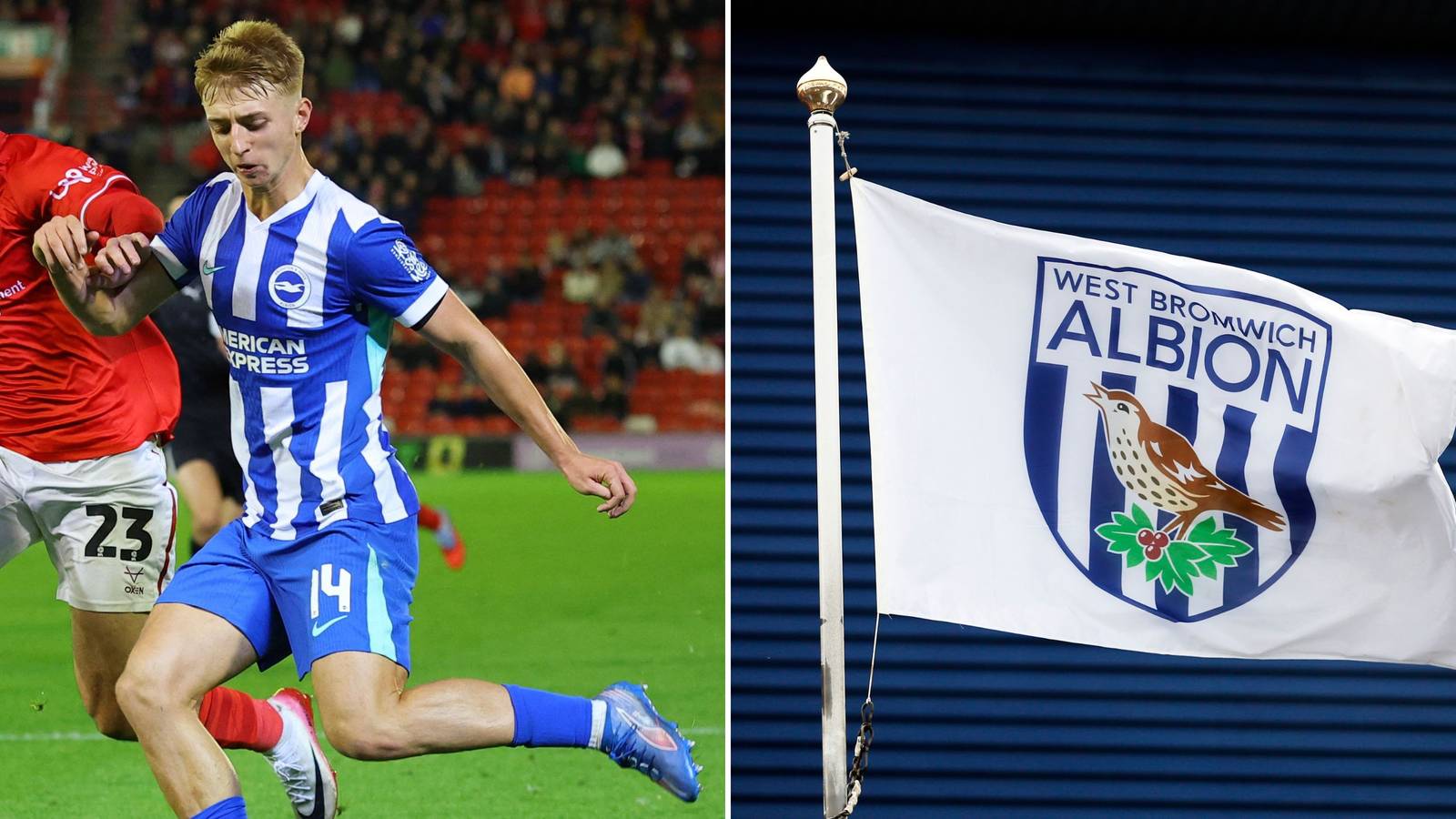 West Brom transfer concern issued over Brighton winger - he 'hasn't pulled up many trees'