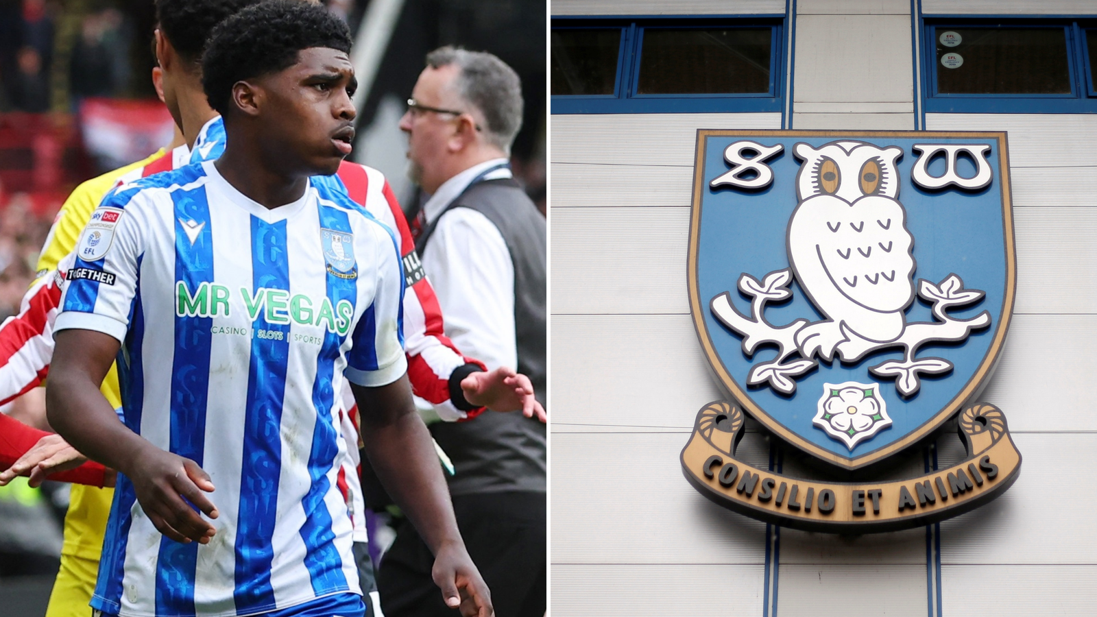 Exclusive: Sheffield Wednesday in talks for fresh Man City transfer swoop