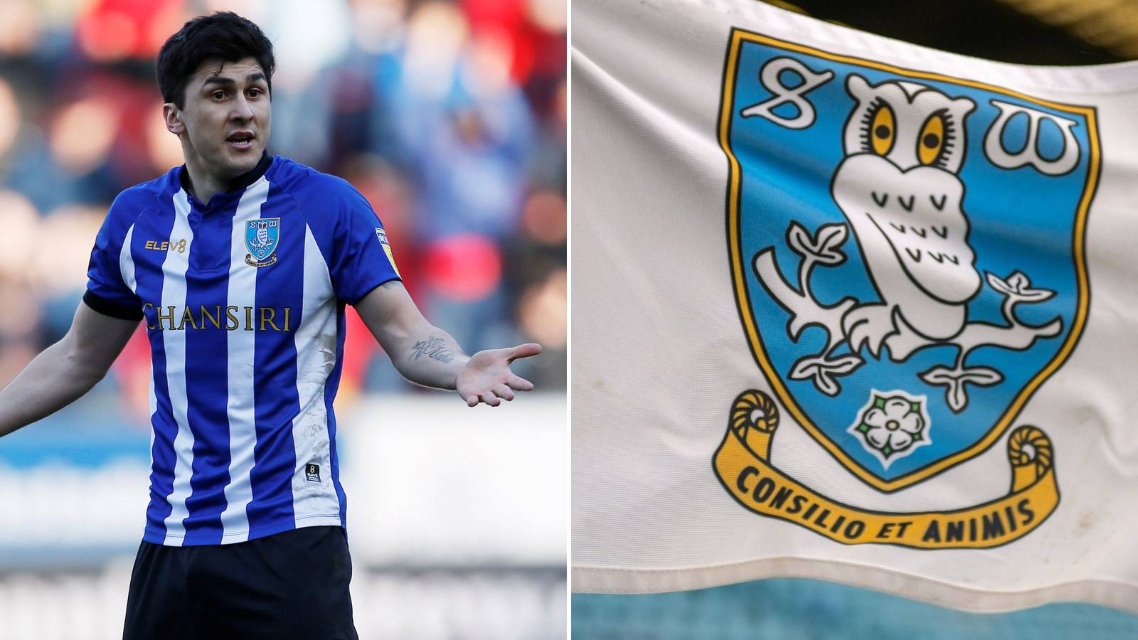 Sheffield Wednesday icon Fernando Forestieri drops fresh future update