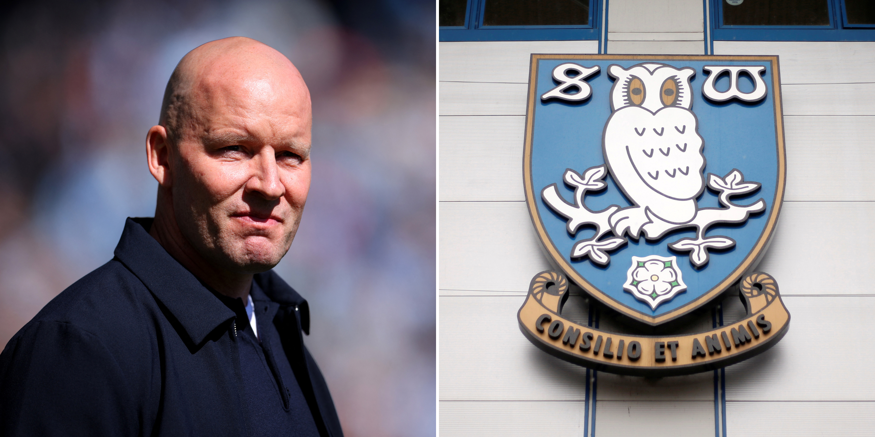 Sheffield Wednesday told who the 'obvious' choice to replace Henrik ...