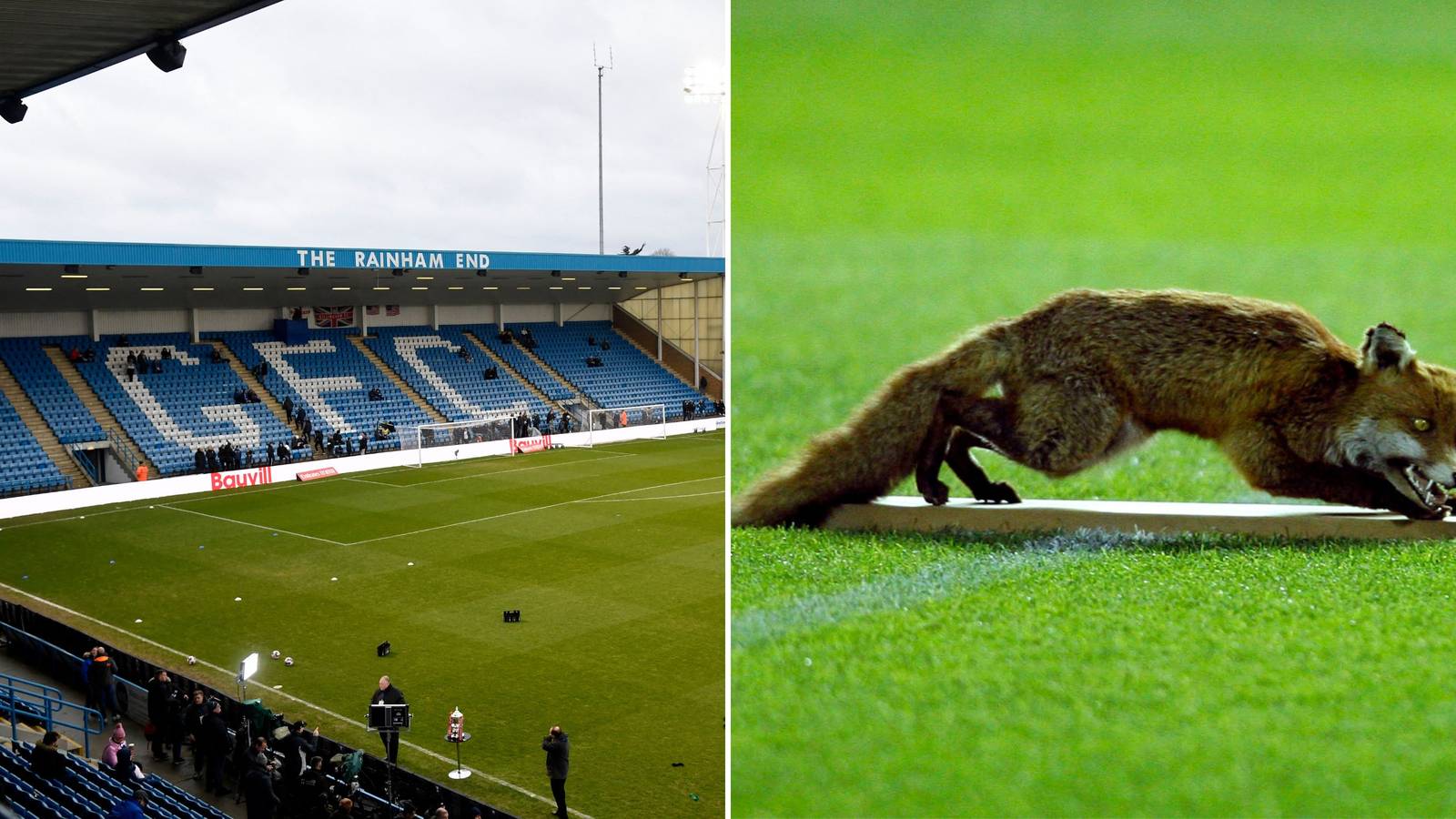 Gillingham suffer significant pitch damage as Fox breaks into Priestfield